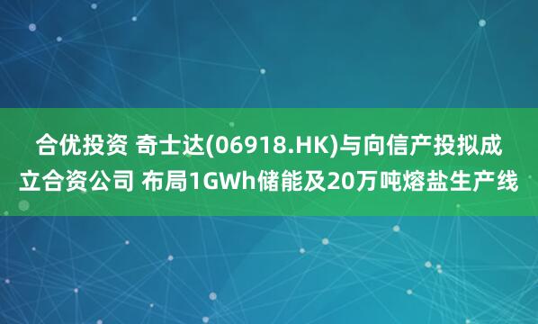 合优投资 奇士达(06918.HK)与向信产投拟成立合资公司 布局1GWh储能及20万吨熔盐生产线