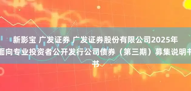 新影宝 广发证券 广发证券股份有限公司2025年面向专业投资者公开发行公司债券（第三期）募集说明书